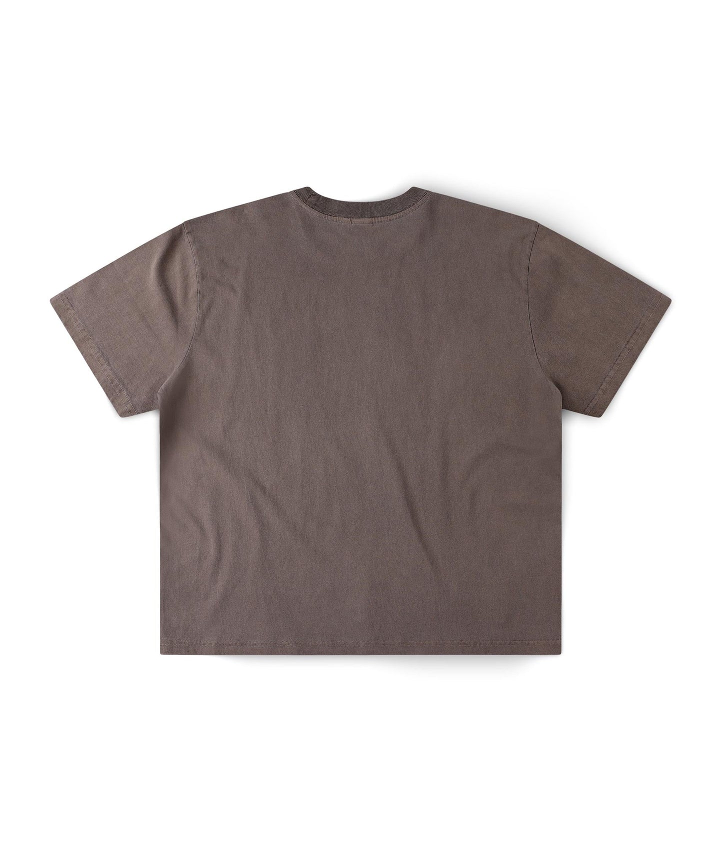 FORMER Ignite Boxy T-shirt in WASHED BROWN - Destroyed By Dane Collection