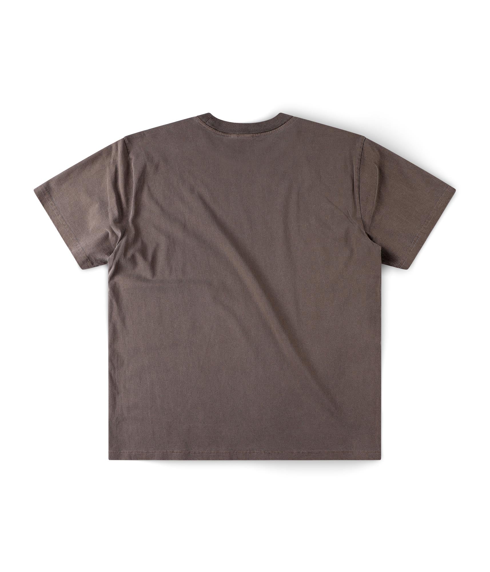 FORMER Legacy Overdye T-shirt in WASHED BROWN - Origin Collection
