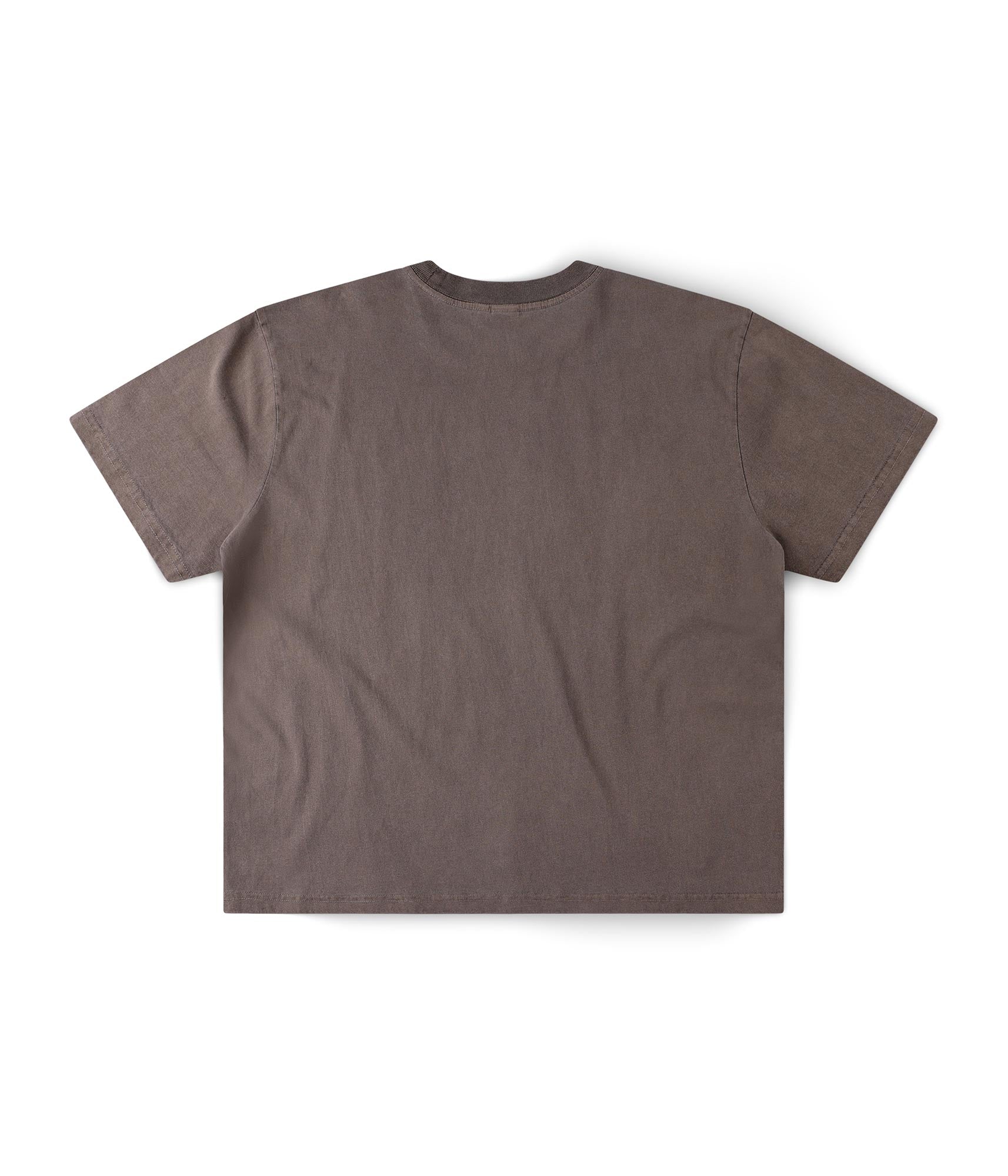 FORMER Ignite Boxy T-shirt in WASHED BROWN - Destroyed By Dane Collection