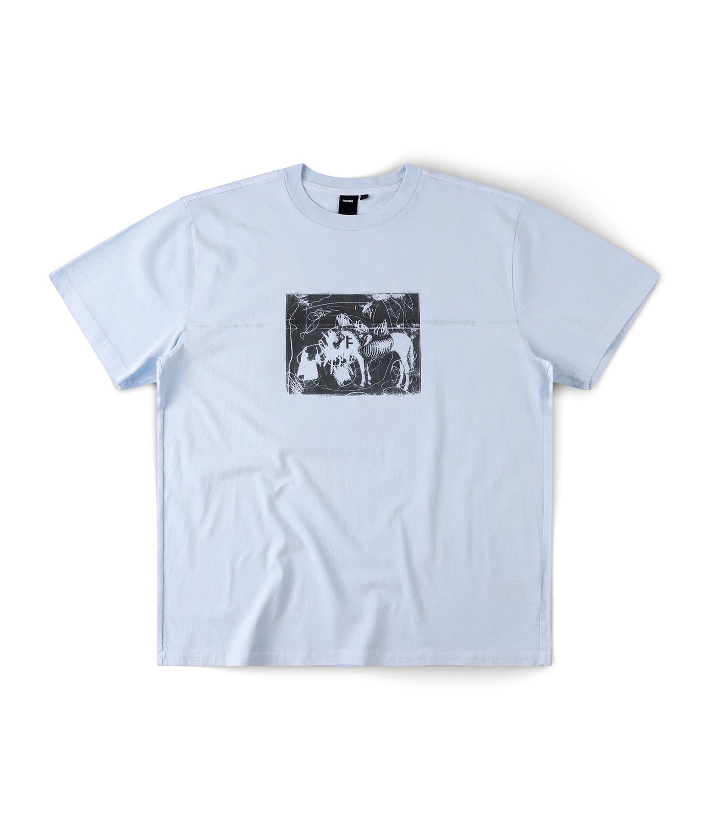 FORMER X-ray T-shirt in WASHED SKY - Destroyed By Dane Collection