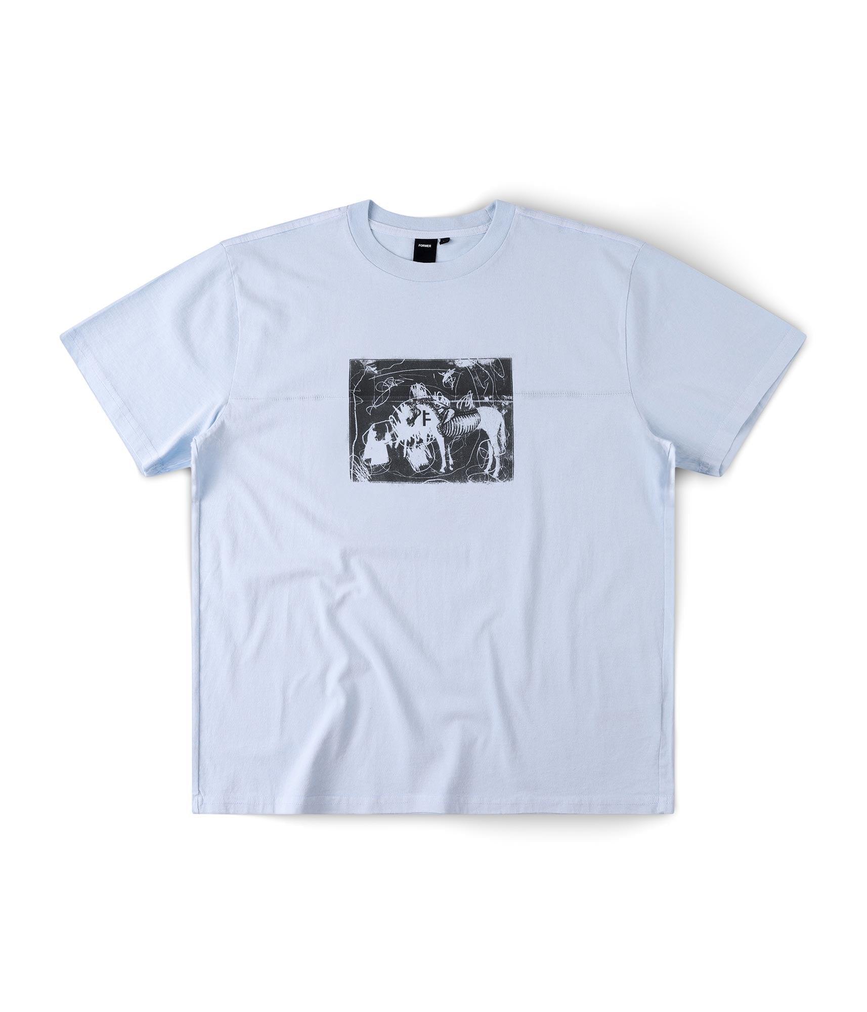 FORMER X-ray T-shirt in WASHED SKY - Destroyed By Dane Collection