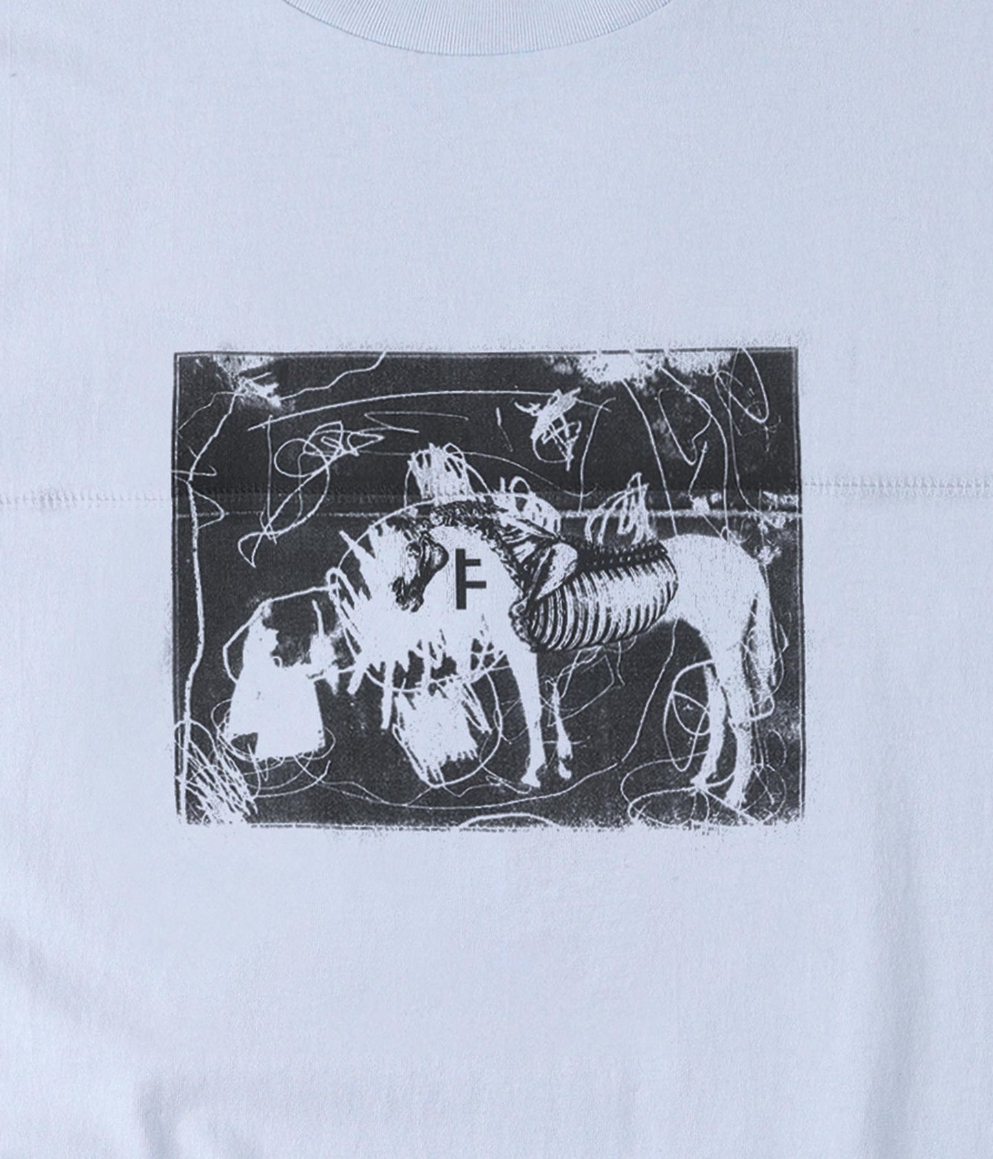 FORMER X-ray T-shirt in WASHED SKY - Destroyed By Dane Collection